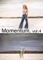 Momentum Vol. 4