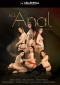 All Anal Vol. 1